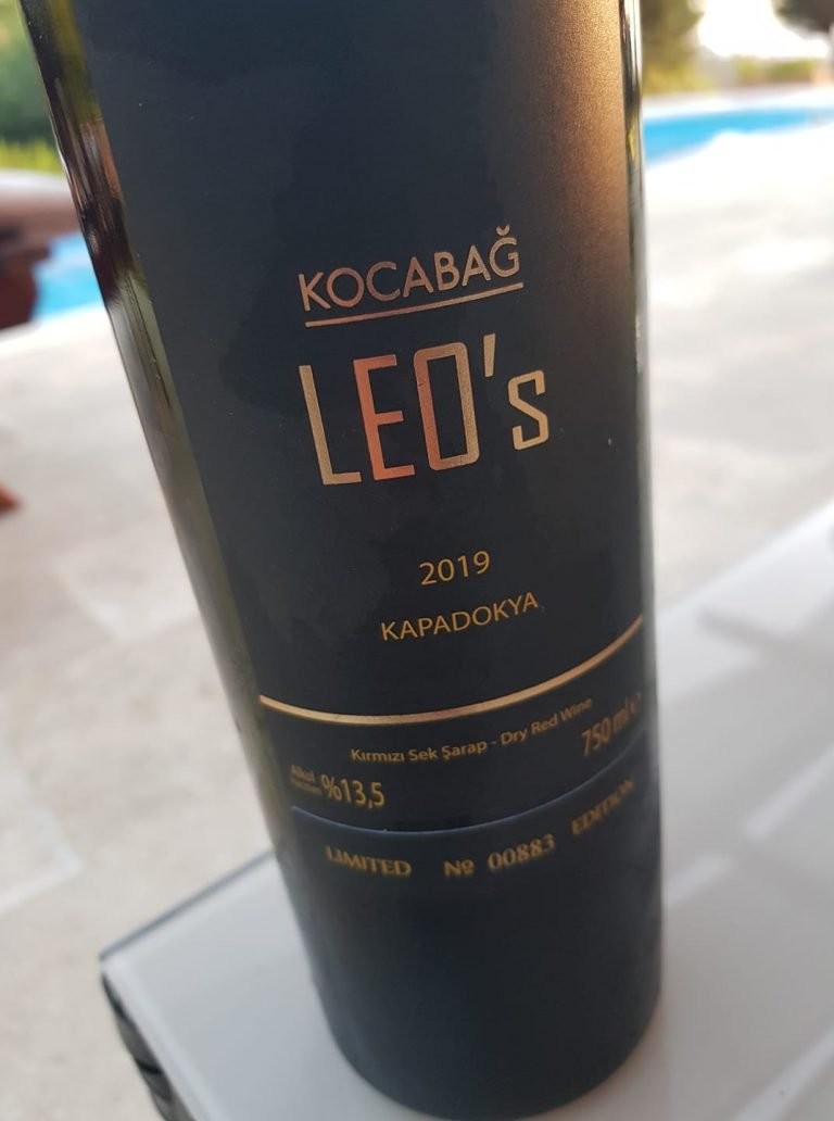 Read more about the article Kocabağ Leo’s 2019