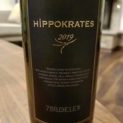 7 Bilgeler Hippokrates 2019