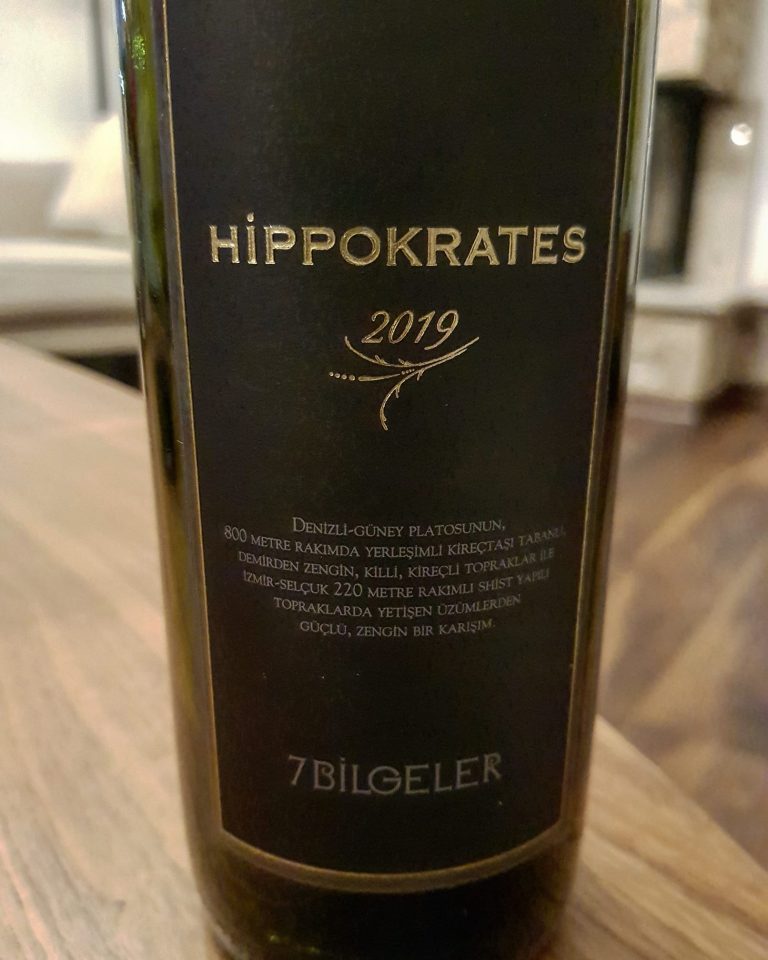 Read more about the article 7 Bilgeler Hippokrates 2019