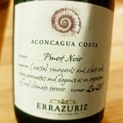 Errazuriz Aconcagua Costa Pinot Noir 2021